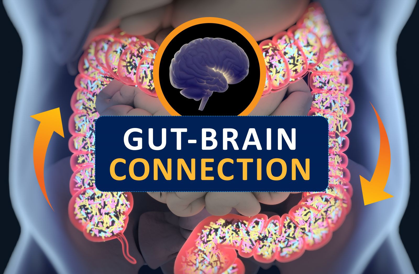 Gut-Brain Connection